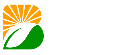 B体育